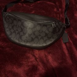 Coach Original Bag