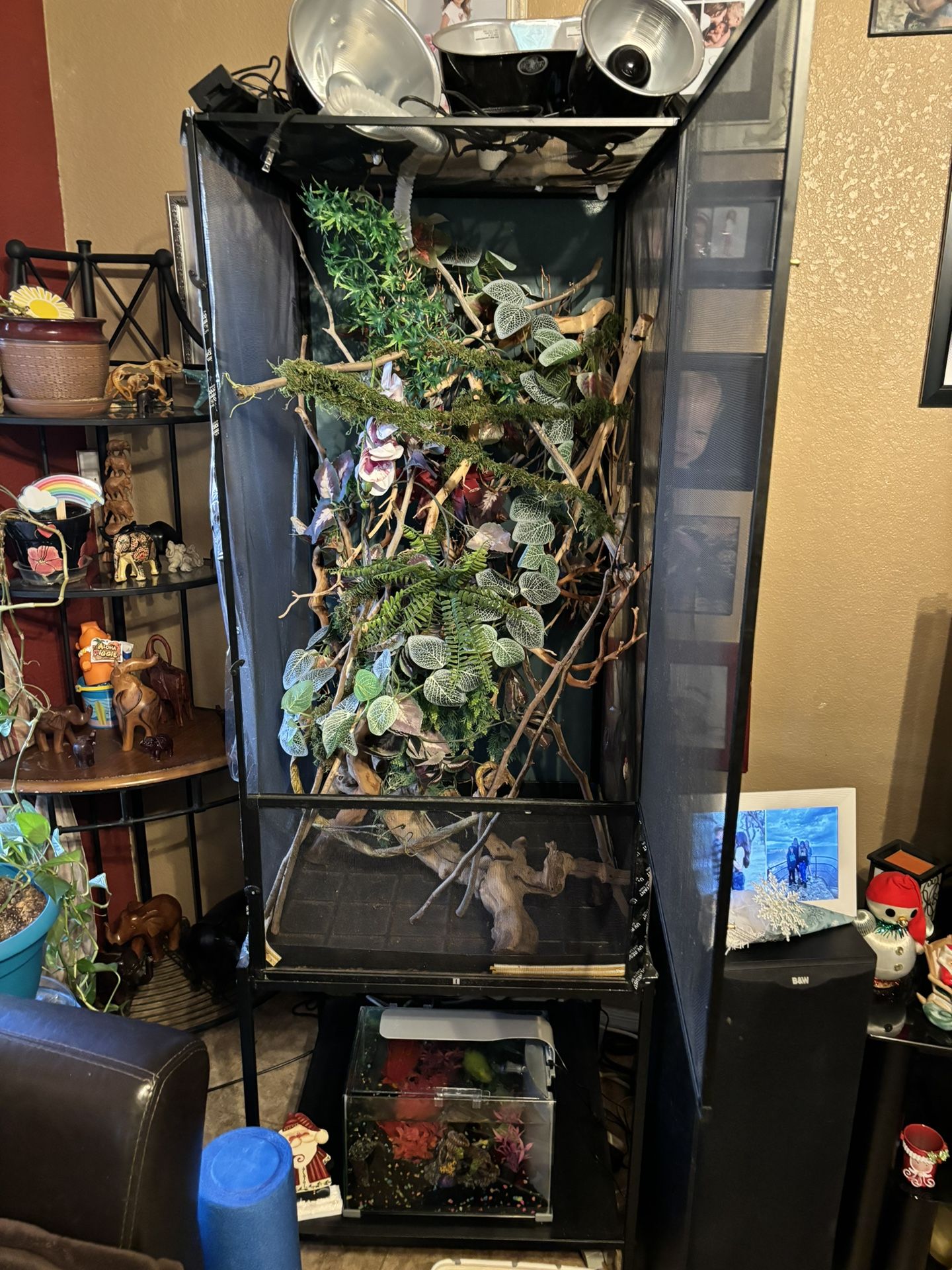 Reptile terrarium for Sale in Chandler, AZ - OfferUp