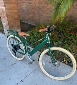 Bluejay Premiere Electric Bike