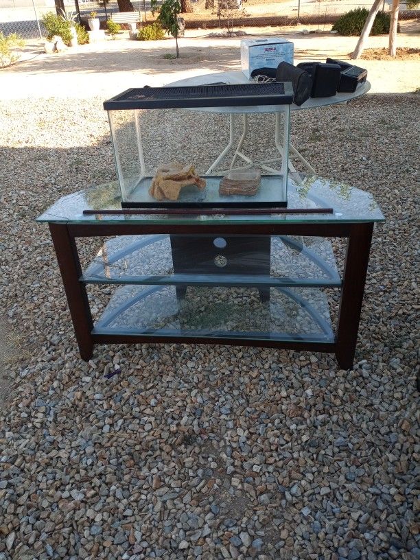 Lizard Tank