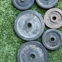 Vintage Weight Plates 