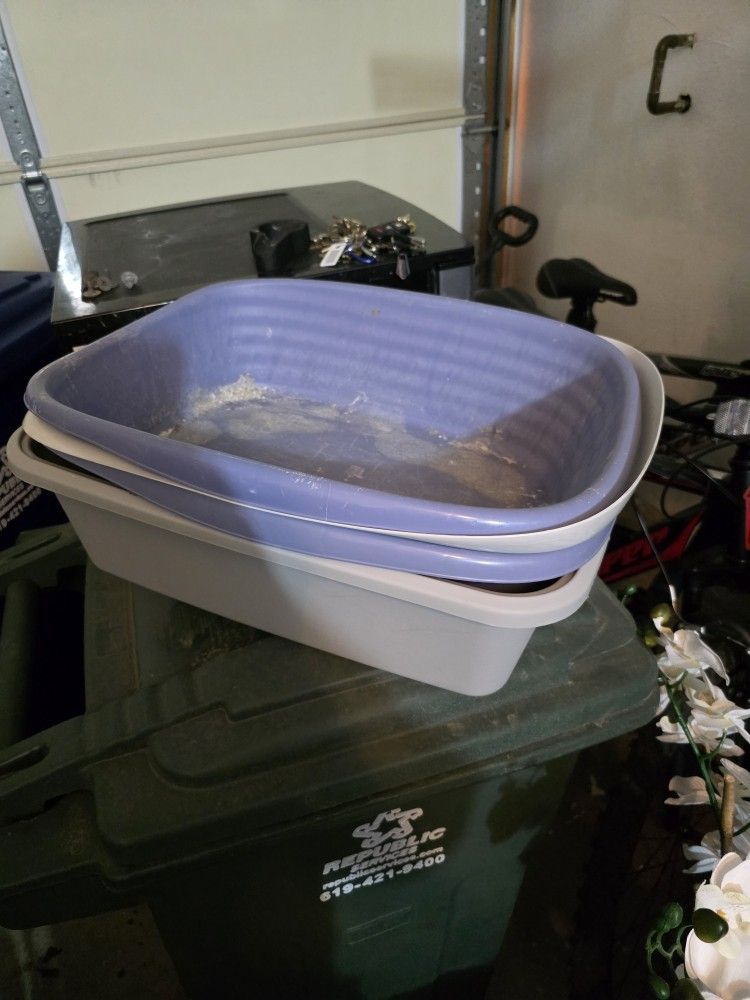 Cat Litter