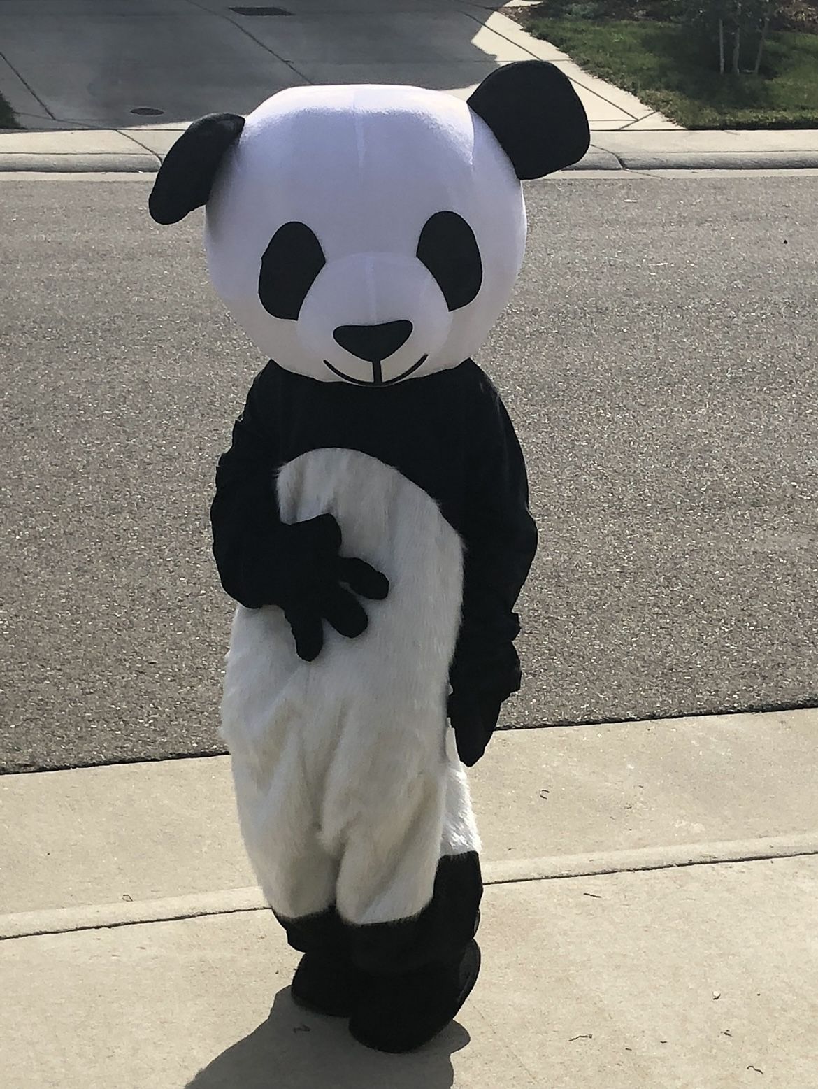 Panda costume