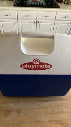 Playmate by Igloo