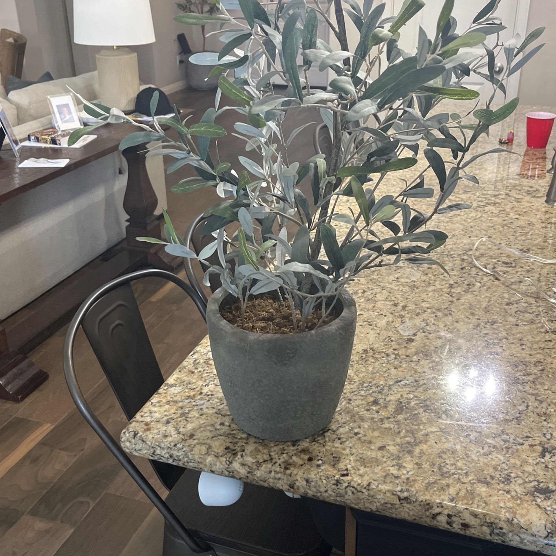 Fake Decor Plant $30