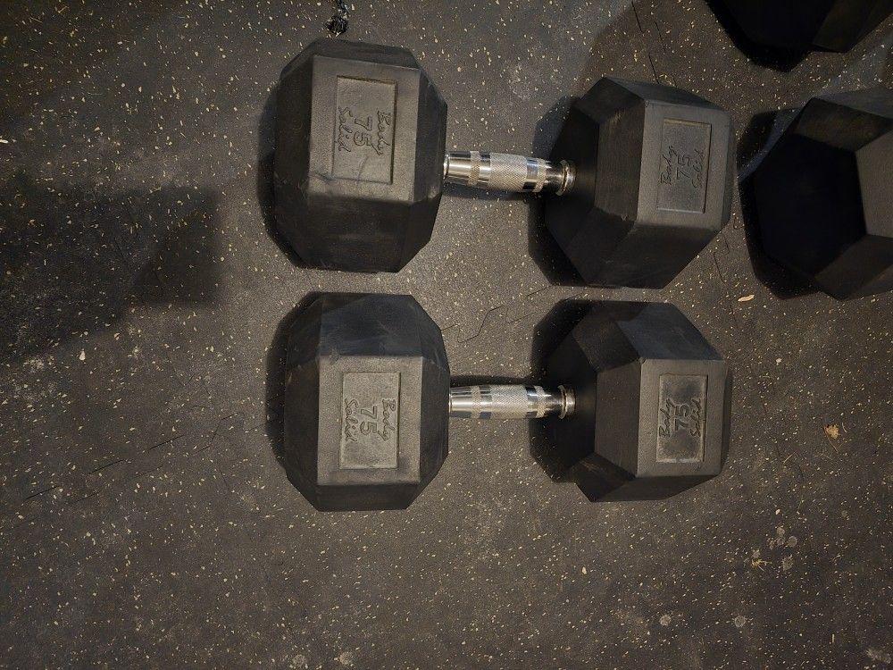 75 Lb Dumbbells 