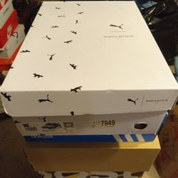 Puma Low top, Brown/Beige, White, Blue, In Original Box 