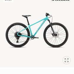 Specialized 26 Inch Rockhopper Mountain Bike