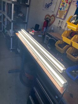 Braun Shop Lights!