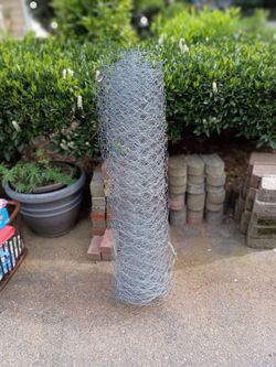 Chicken wire