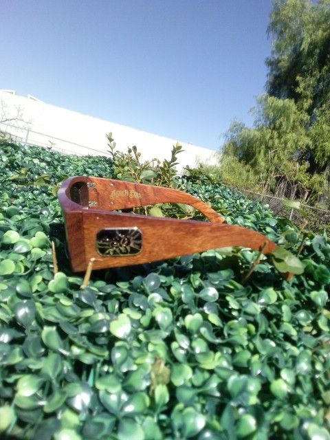 Black Fly Sunglasses 