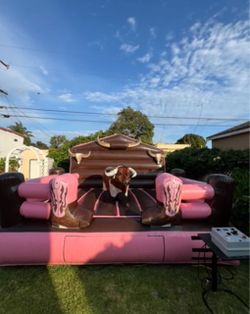 Pink Bull Jumper
