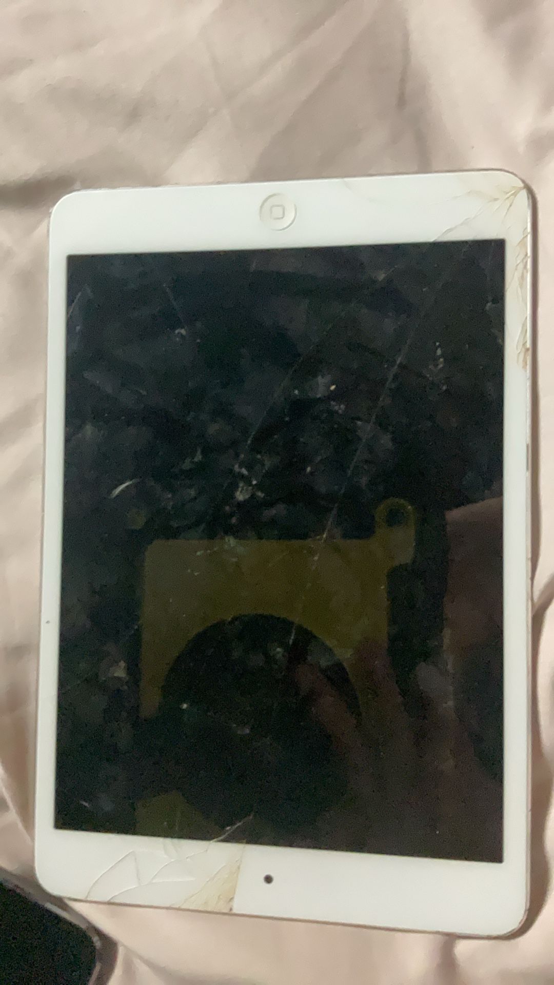 Ipad Mini