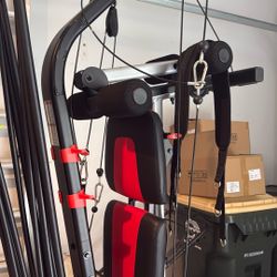 Bowflex Home Gym Workout System 