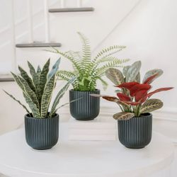 Faux Decorative Plant Trio NEW