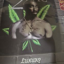 Tupac Blanket 