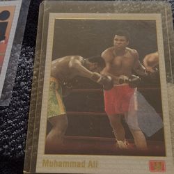 Boxing All World Boxing/1991 cash porch pickup 7