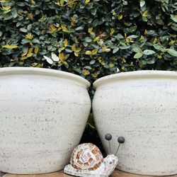 Set of 2 Wisteria Pot Planters 