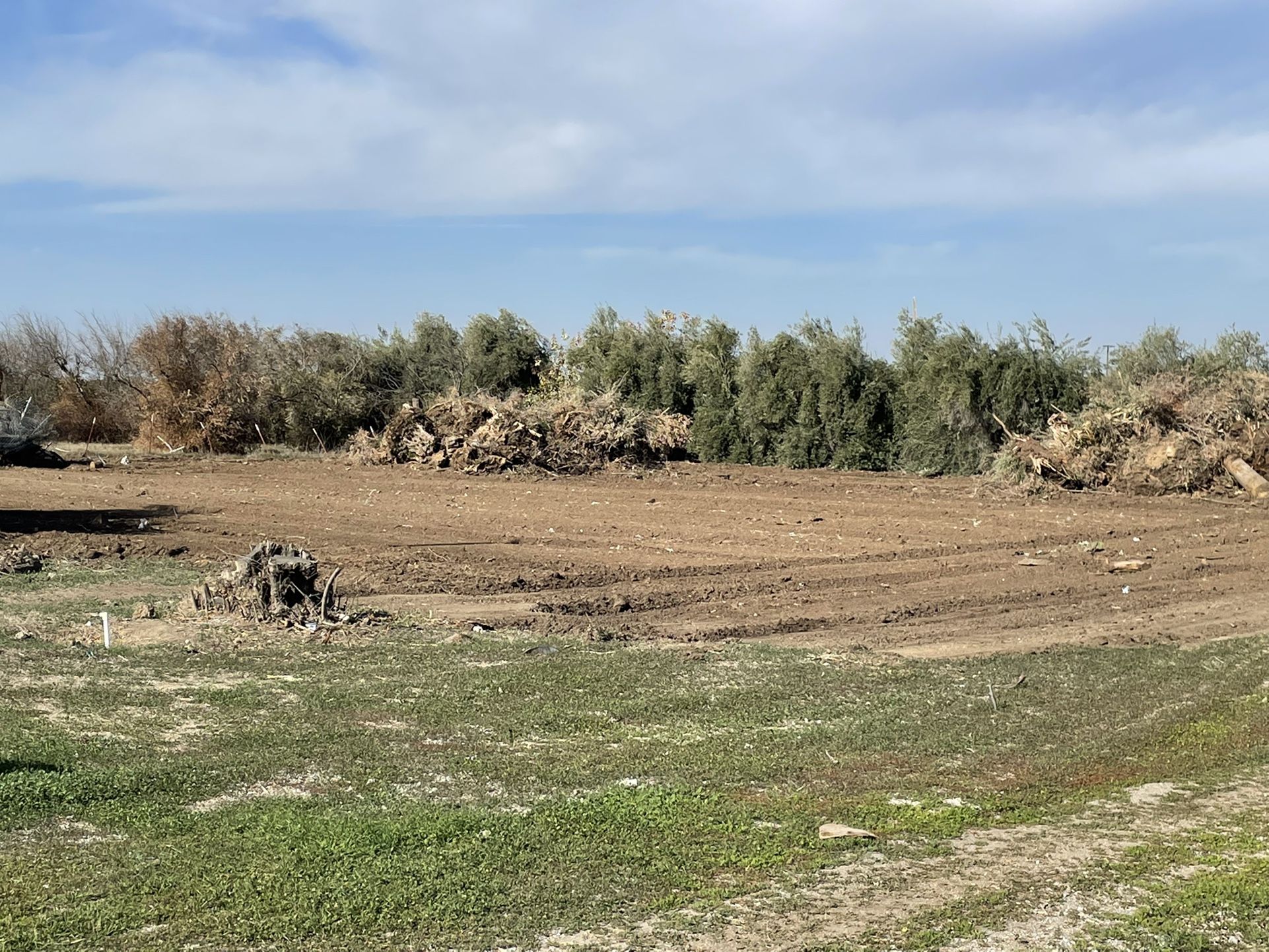 Rectors Dozer Work 