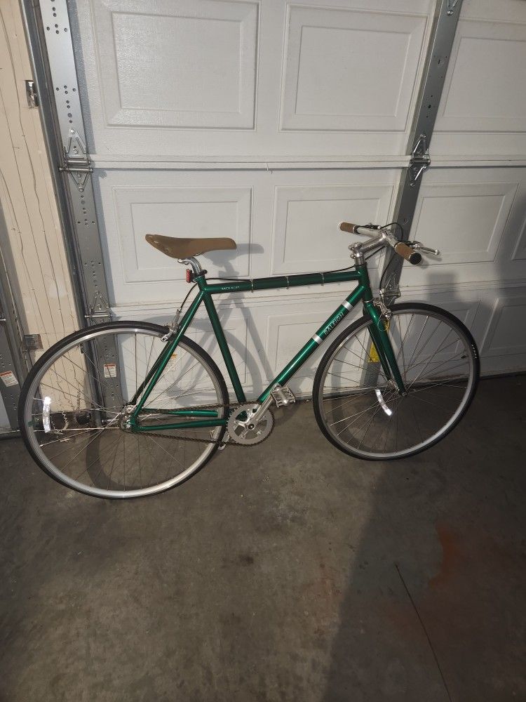 Green 2017 Raleigh Back Alley Bike