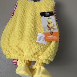 Pineapple Baby Costume Brand New 6-12 Months