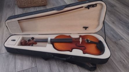 16.5 n (42cm) Viola