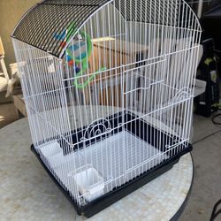 Bird Cage (jaula De Pájaro)