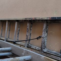 ladders $20 for all 3