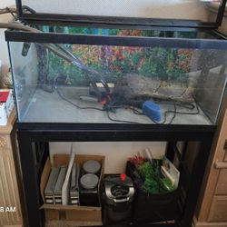 55 Gallon Aquarium 