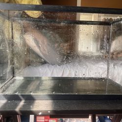 10G Tank 