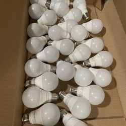 Free LED Bulb