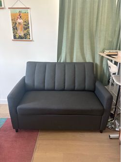 Pull out twin sofa - gently used