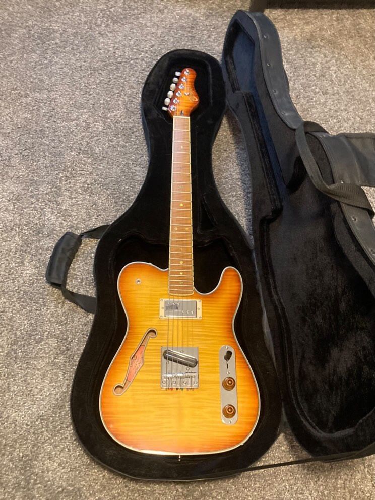 Berger guitar deluxe