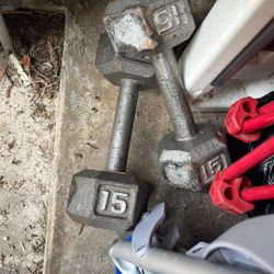 Steel 15 Lb Weights