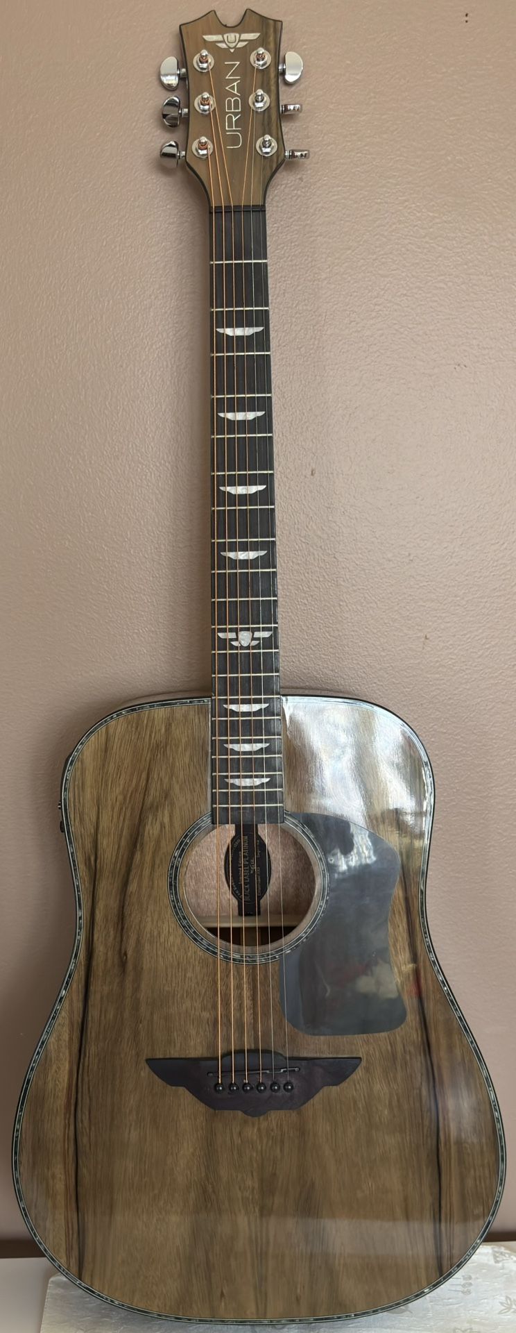 Keith Urban Black Label Platinum Acoustic/Electric Guitar Package Never Used! 🔴See Full Details Below🔴