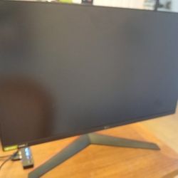 LG Computer Monitor Damaged Screen 