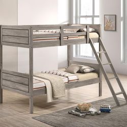 Catena Bunk Bed📌Finance Available