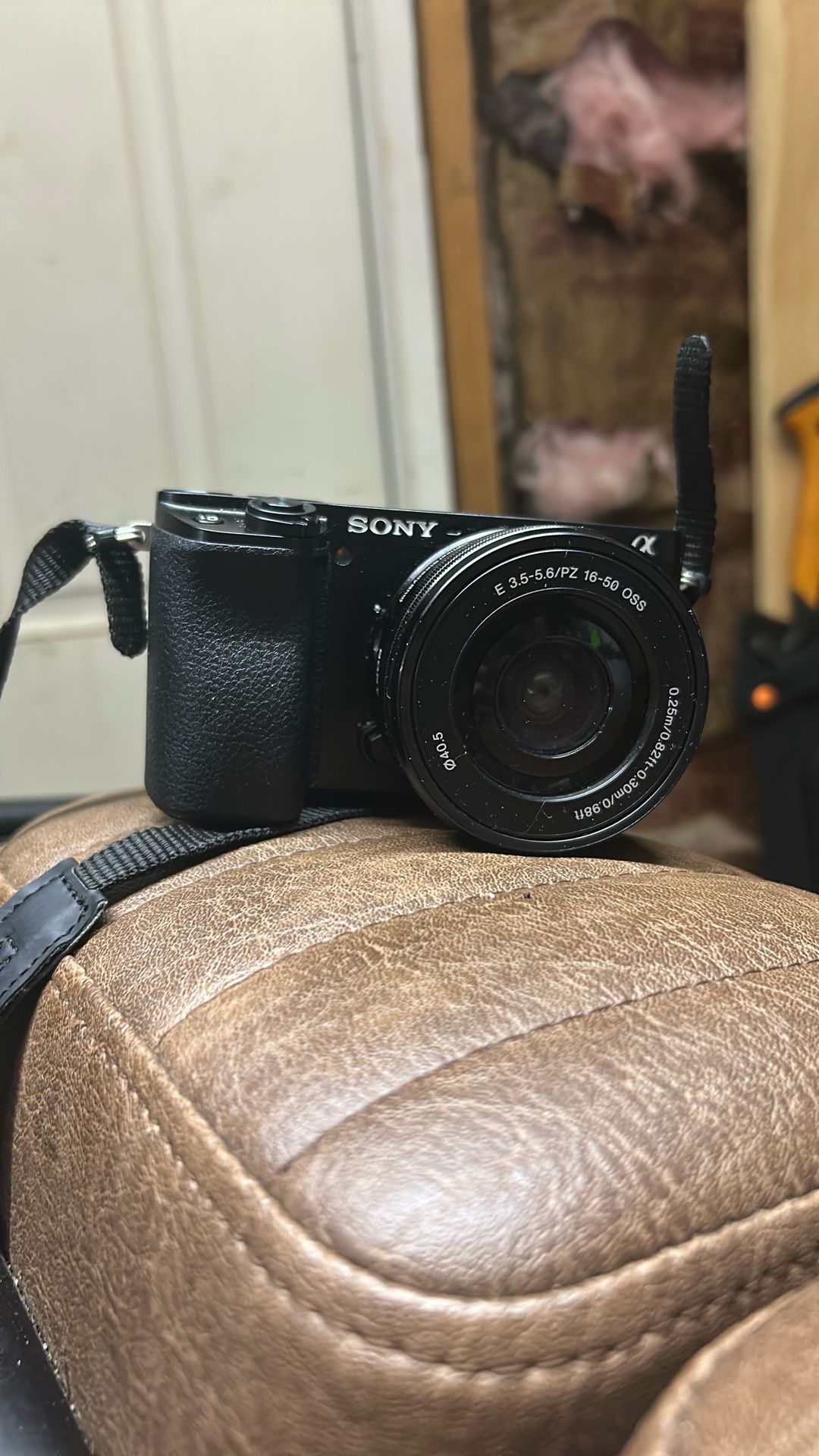 Sony A6100 (with Battery) (264 GB SD card) (Camera Case)