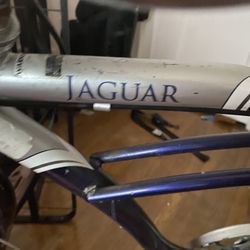 Schwinn  Jaguar Cruisers 