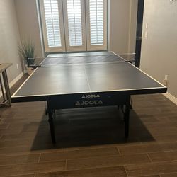 Ping Pong Table 