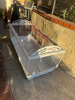Guinea pig, hamster, bunny cage
