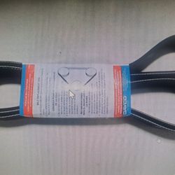  Dayco Poly Rib (contact info removed) Gold Label Serpentine Belt