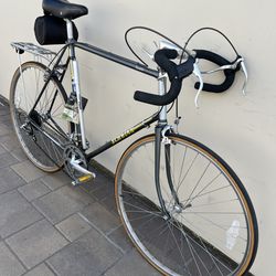 Schwinn Traveler Bike