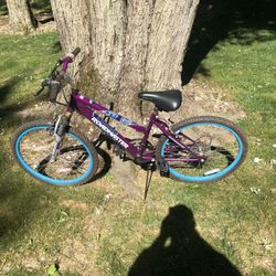 24” Mountain Bike 