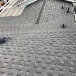 Singles Torch Gutters