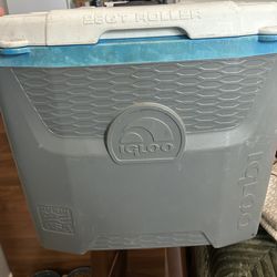 Igloo Cooler