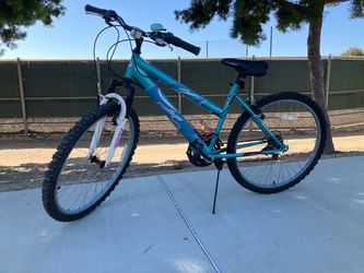 Rallye Incline Comfort Bike - Step-Through Frame