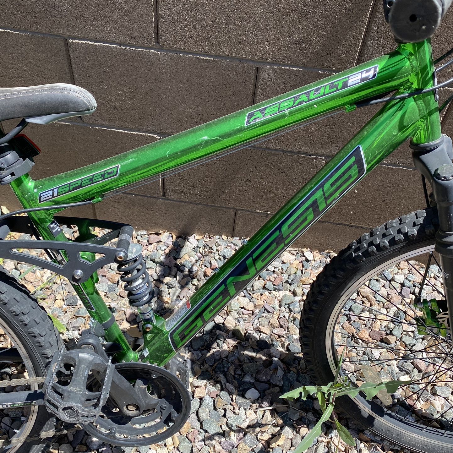 Genesis assault 24 bike cheap
