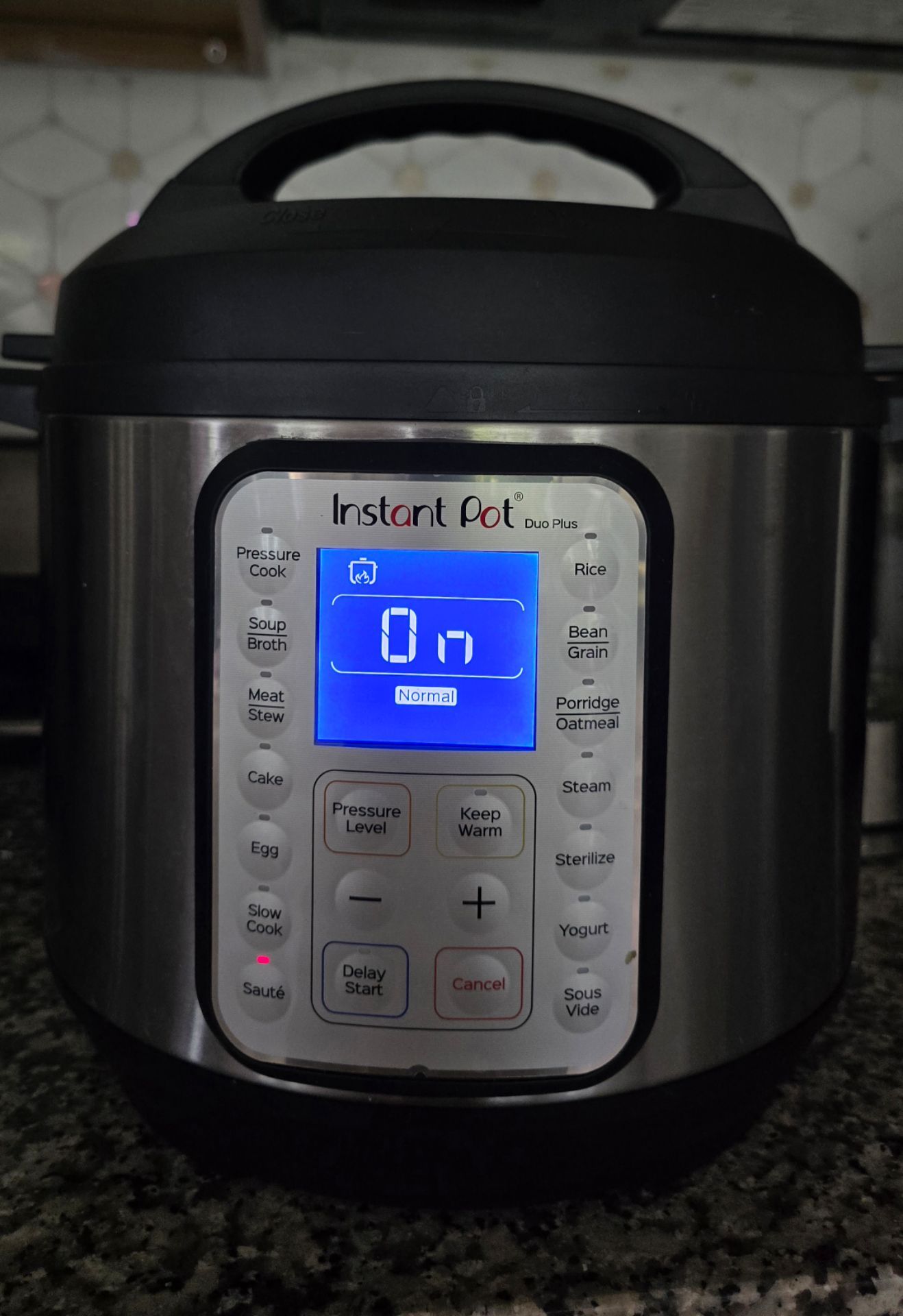 Instant pot Duo plus