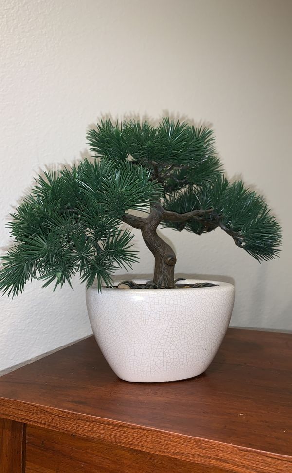 Fake Bonsai Tree